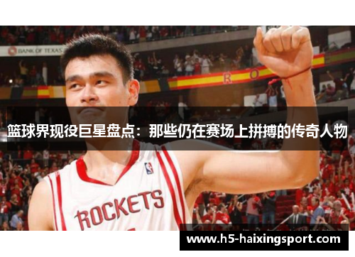 篮球界现役巨星盘点：那些仍在赛场上拼搏的传奇人物
