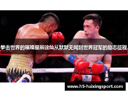 拳击世界的璀璨星辰徐灿从默默无闻到世界冠军的励志征程