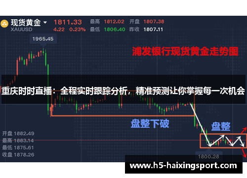 重庆时时直播：全程实时跟踪分析，精准预测让你掌握每一次机会